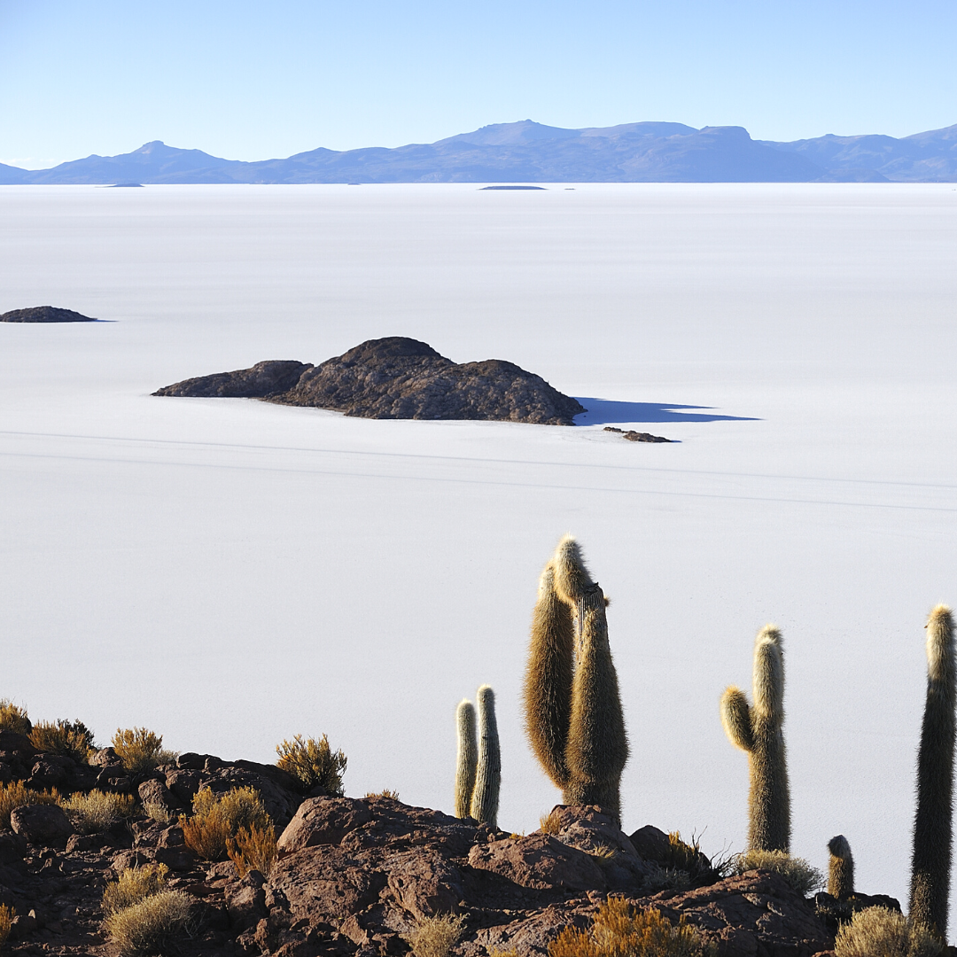 Atacama in Argentina