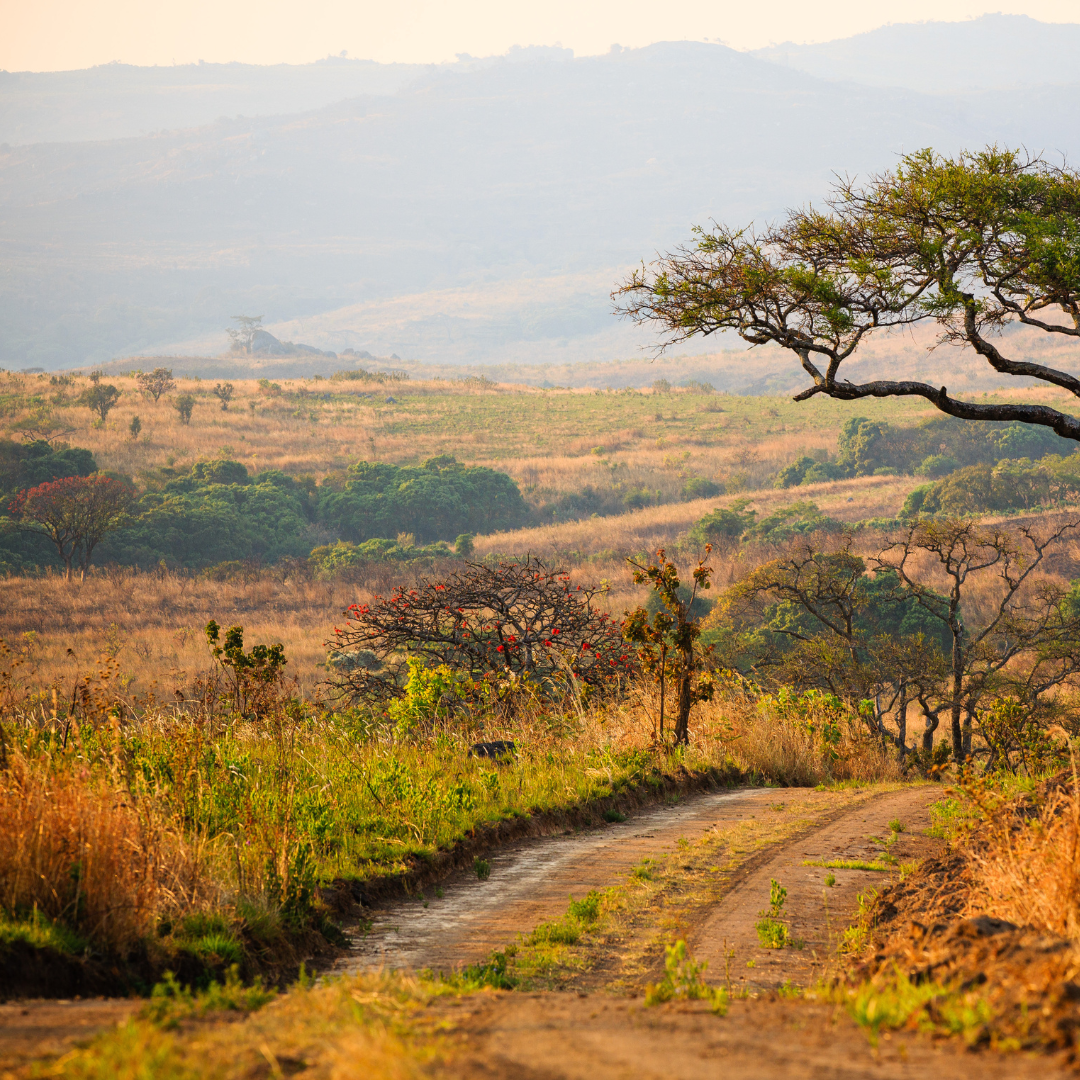 Landscape Malawi