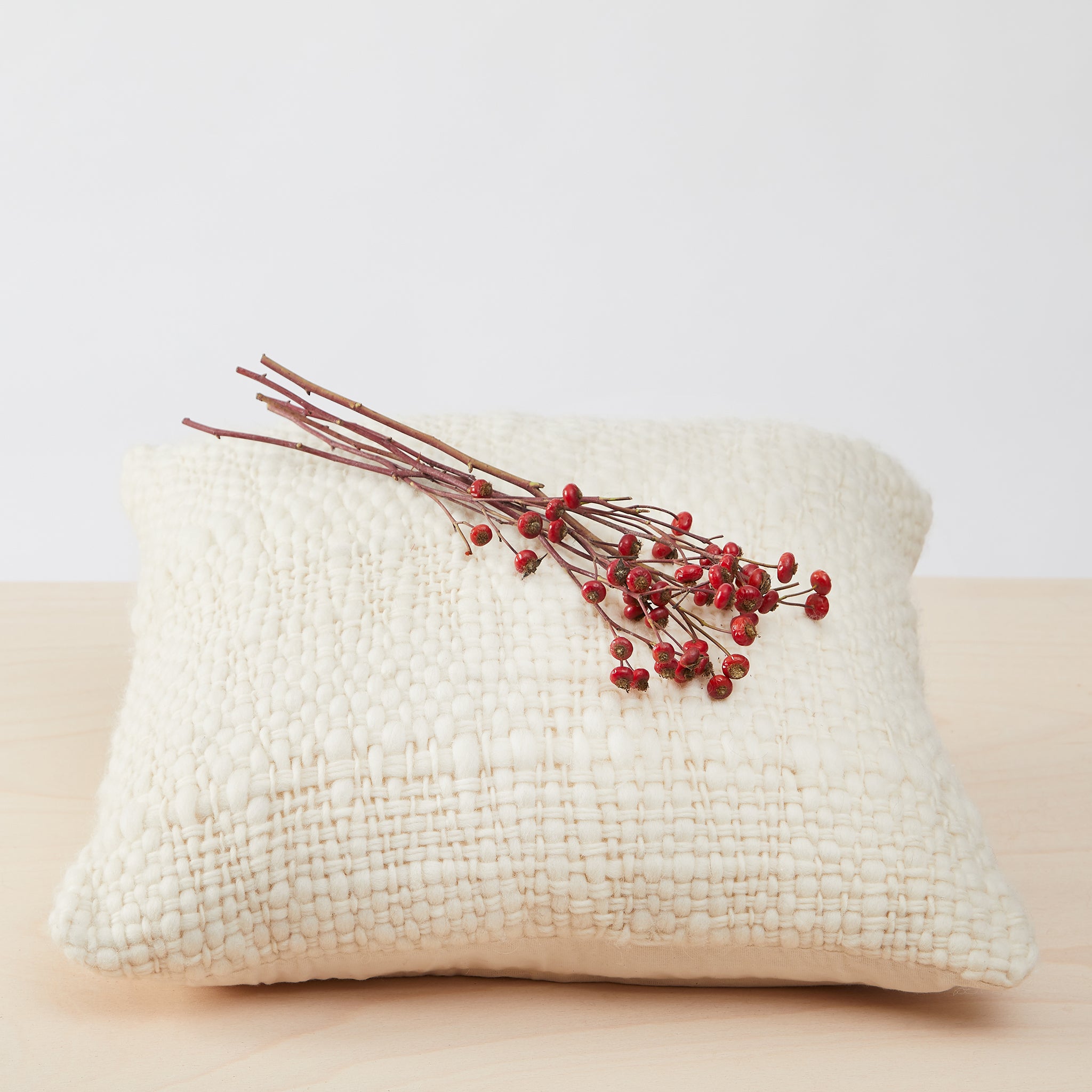 Moodfoto with plant: Hand-woven cushion "Sueno", 50x50cm, natural
